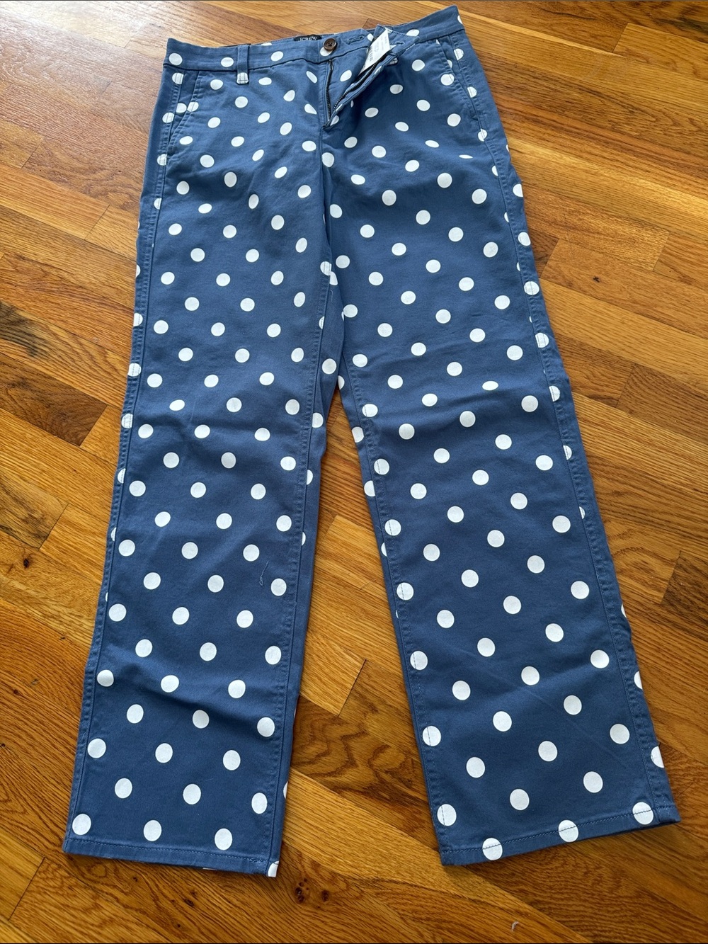 Woman’s Navy Polka Dot Casual Cotton Pants